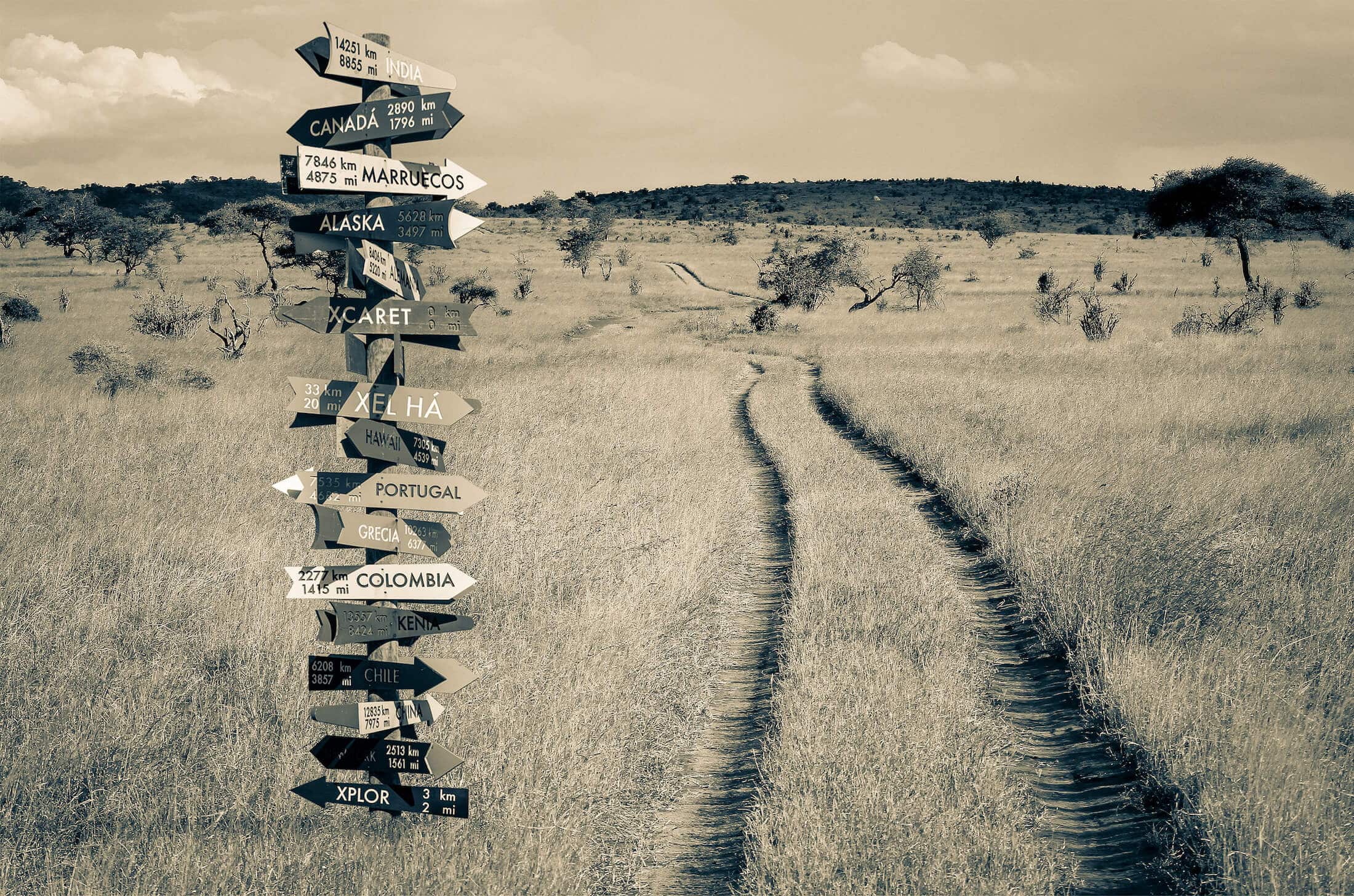 Data Driven Saas Product Management Pitfalls Data driven approaches to product management can mislead us in many directions