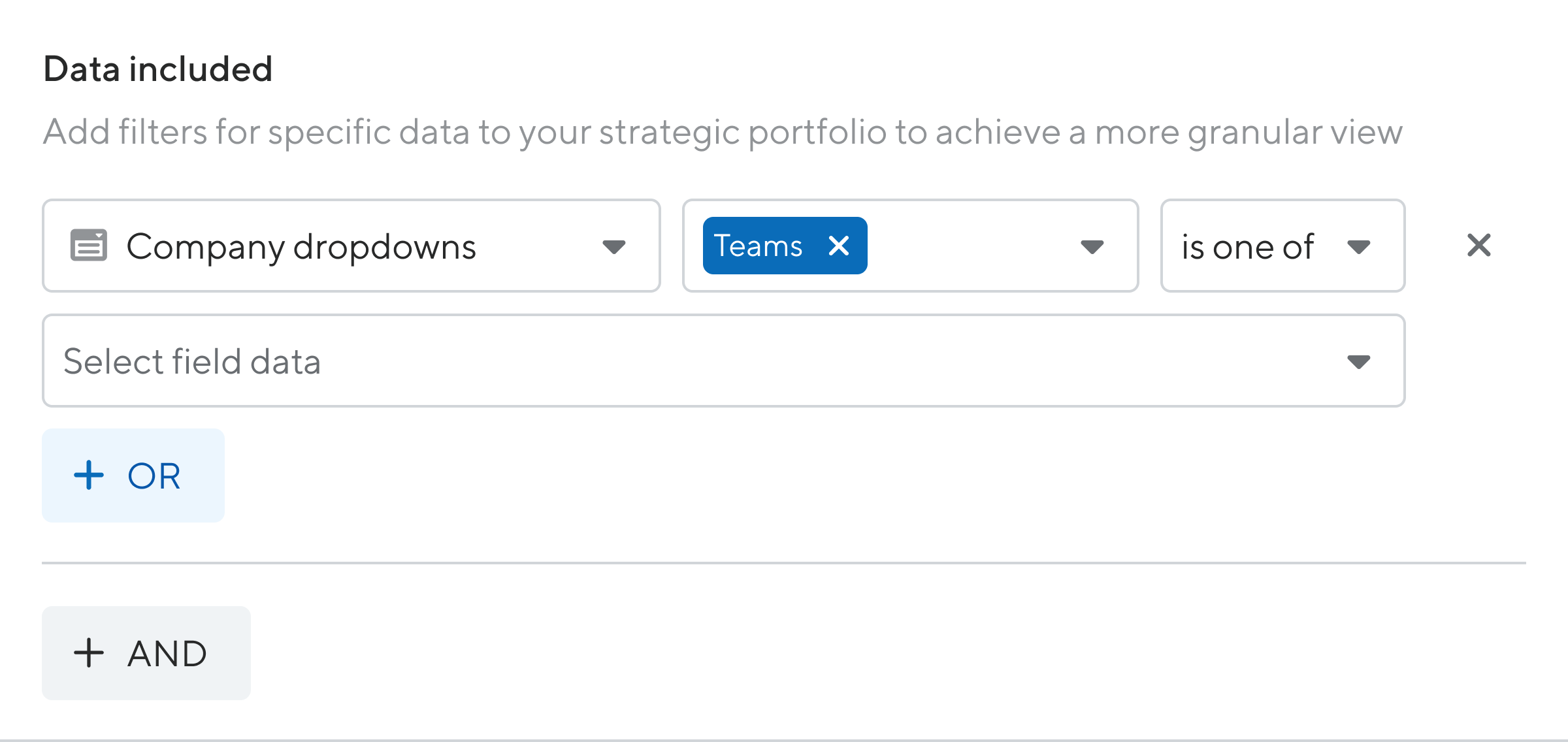 Strategic Portfolio Data Included Filter