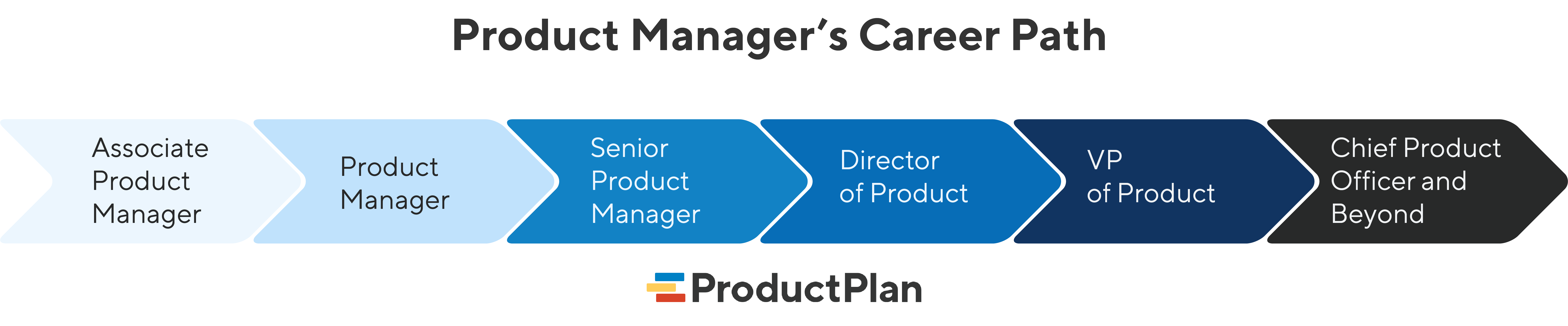 What is the Product Manager Career Path?