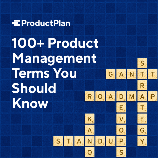 100-product-management-terms