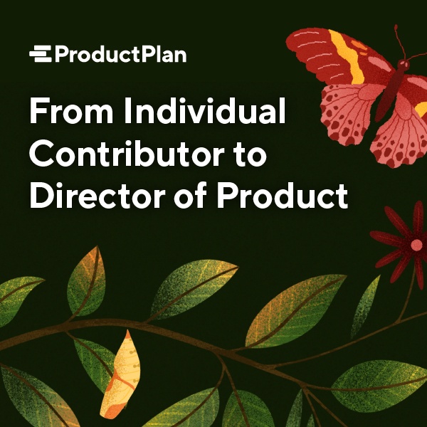 individual-contributor-director-of-product