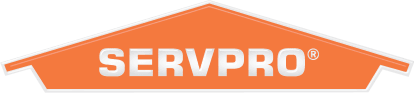 Servpro Logo | Customer Story ProductPlan