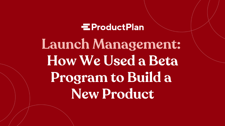 launch management how we used a beta program to build a new product