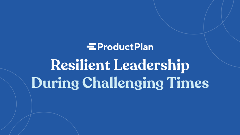 resilient leadership during challenging times