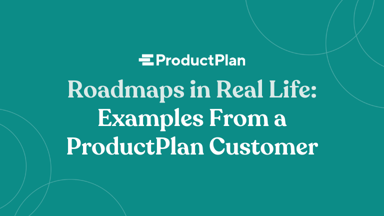 roadmaps in real life examples from a productplan customer