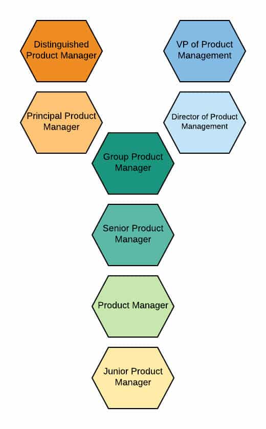 Dual track product management career ladder
