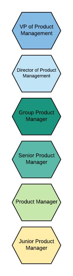 Single track product management career ladder